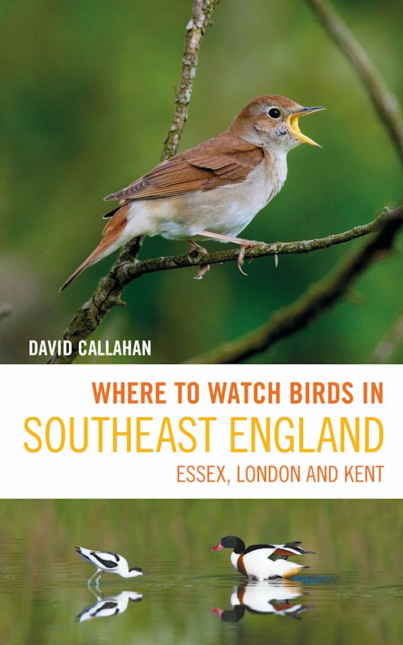 Click for more details or to order this title