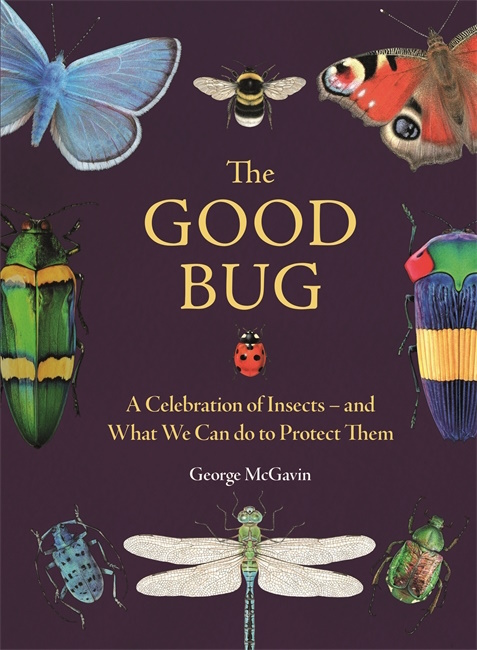 Click for more details or to order this title