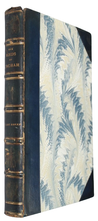 Click for more details or to order this title