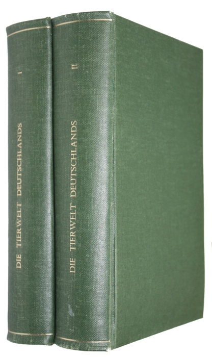 Click for more details or to order this title