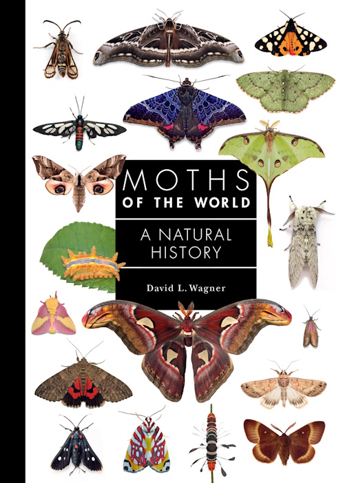 Click for more details or to order this title