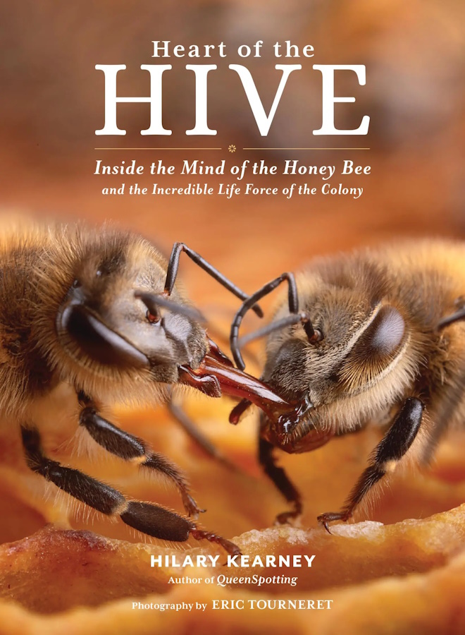 Click for more details or to order this title