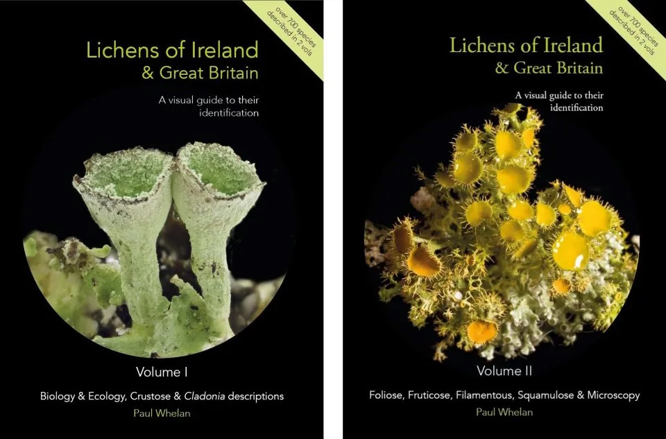 Click for more details or to order this title