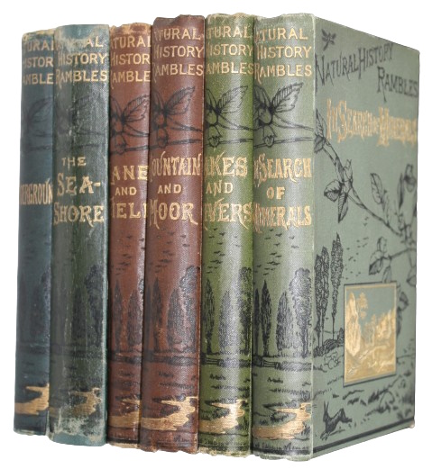 Click for more details or to order this title