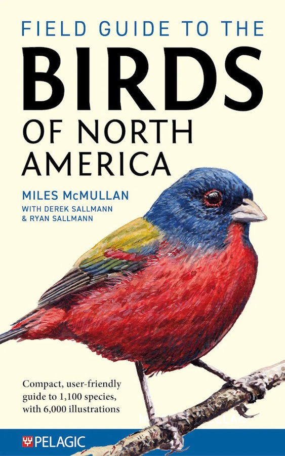 Click for more details or to order this title