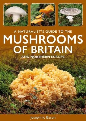 Click for more details or to order this title