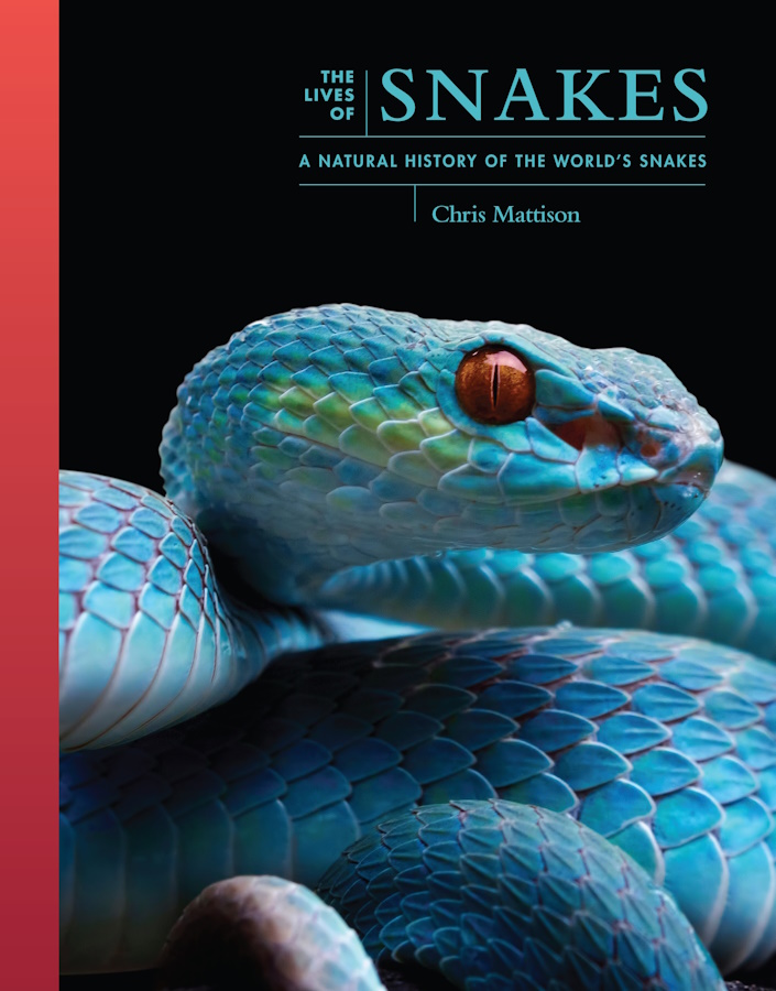 Click for more details or to order this title