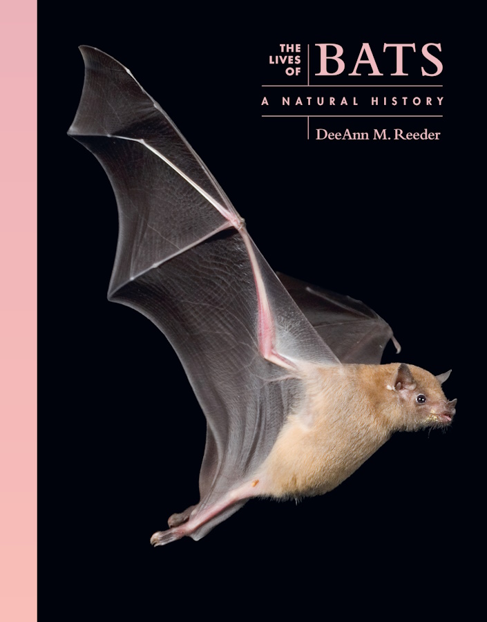 Click for more details or to order this title
