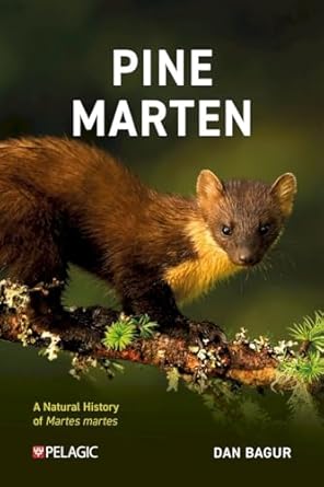 Click for more details or to order this title