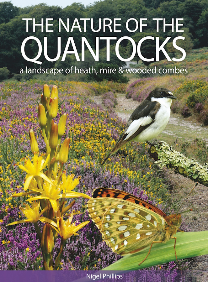 Click for more details or to order this title