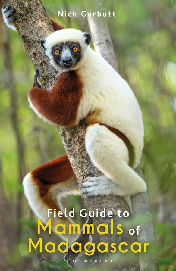 Click for more details or to order this title