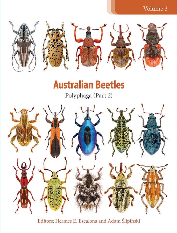 Click for more details or to order this title
