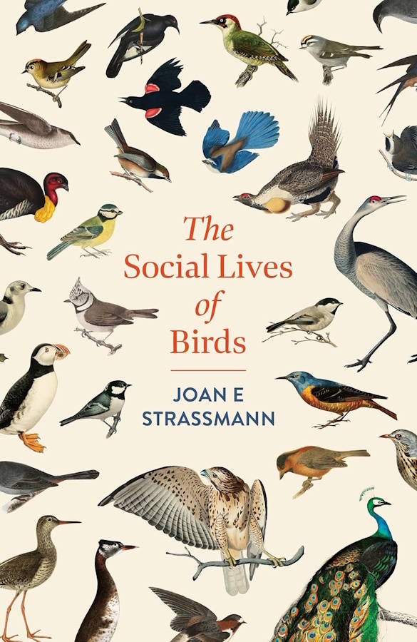 Click for more details or to order this title