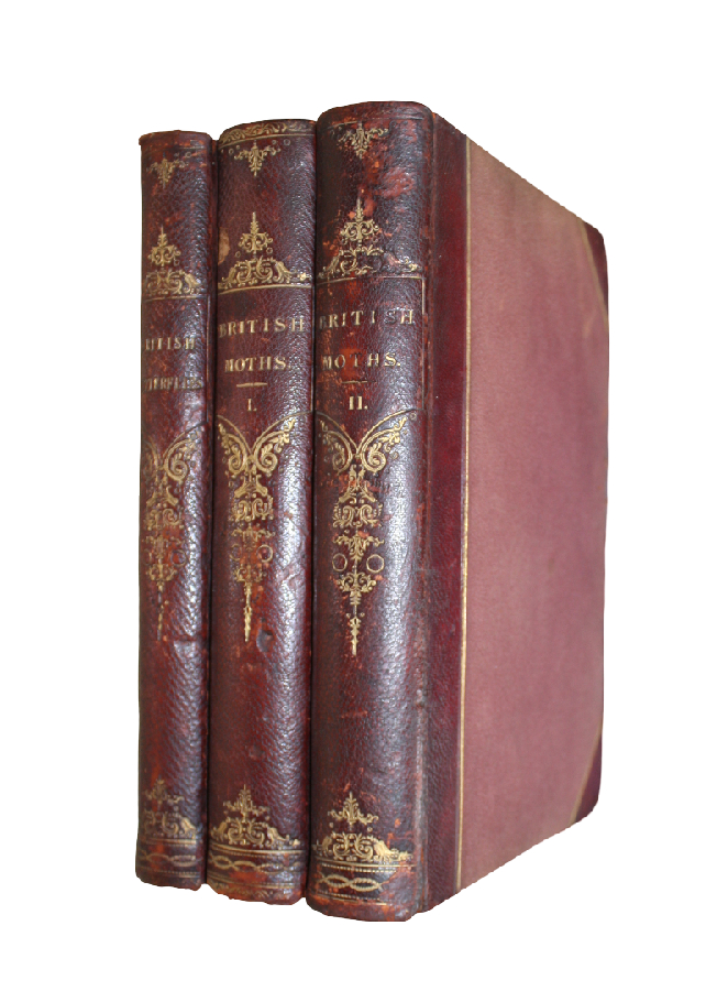 Click for more details or to order this title