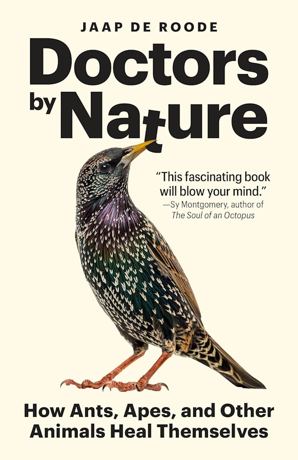 Click for more details or to order this title
