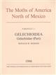 The Moths of America North of Mexico 07.1: Gelechiidae: Dichomeridinae