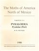 The Moths of America North of Mexico 15.2: Pyralidae: Phycitinae 2