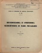 Rhynchonelloidea et Spiriferoidea Siluro-devoniens du Maroc Pre-Saharan