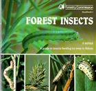 Forest Insects: A Guide to Insects Feeding on Trees in Britain