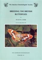 Breeding the British Butterflies