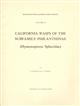 California Wasps of the Subfamily Philanthinae (Hymenoptera: Specidae)