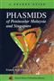 A Pocket Guide: Phasmids of Peninsular Malaysia and Singapore