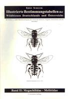 Illustrierte Bestimmungstabellen der Wildbienen Deutschlands und Österreichs 2: Megachilidae & Melittidae