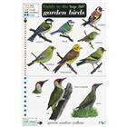 Top 50 Garden Birds (Identification Chart)