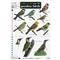 Top 50 Garden Birds (Identification Chart)