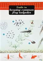 Guide to Keeping Common Frog Tadpoles (Identification Guide)