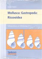Mollusca: Gastropoda: Rissooidea (Süßwasserfauna von Mitteleuropa 05/1-2)