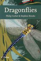 Dragonflies