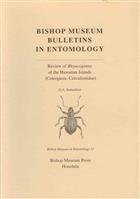 Review of Rhyncogonus of the Hawaiian Islands (Coleoptera: Curculionidae)