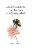 A Pocket Guide to the Bumblebees of Britain and Ireland