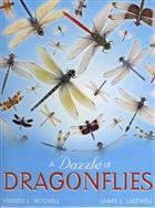 A Dazzle of Dragonflies