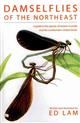 Damselflies of the North East: A Guide to the Species of Eastern Canada and the Northeastern United States
