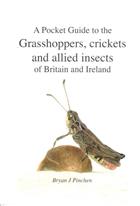 Pocket Guide to the Grasshoppers, Crickets and allied Insects of Britain and Ireland