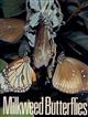 Milkweed Butterflies: Their Cladistics and Biology, being an account of the natural history of the Danainae, a subfamily of the Lepidoptera, Nymphalidae