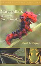 Caterpillars of Eastern North America: A Guide to Identification and Natural History