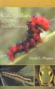 Caterpillars of Eastern North America: A Guide to Identification and Natural History