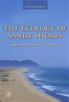 The Ecology of Sandy Shores