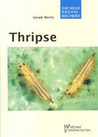 Thripse - Fransenflügler, Thysanoptera Pflanzensaftsaugende Insekten Bd. 1