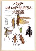 Orthoptera of the Japanese Archipelago in Color