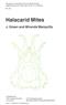 Halacarid Mites (Synopses of the British Fauna 36)