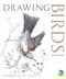 Drawing Birds