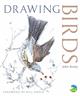 Drawing Birds