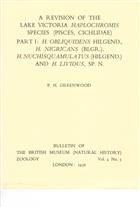 A Revision of the Lake Victoria Haplochromis Species (Pisces, Cichlidae): Part 1: H. obliquidens Hilgend., H. nigricans (BLGR.), H. nuchisquamulatus (Hilgend) and H. Lividus, sp. n.