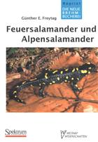 Feuersalamander und Alpensalamander