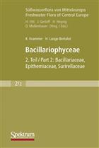 Bacillariophyceae, Teil 2: Bacillariaceae, Epithemiaceae, Surirellaceae (Süßwasserflora von Mitteleuropa 2/2)