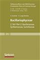Bacillariophyceae, Teil 2: Bacillariaceae, Epithemiaceae, Surirellaceae (Süßwasserflora von Mitteleuropa 2/2)